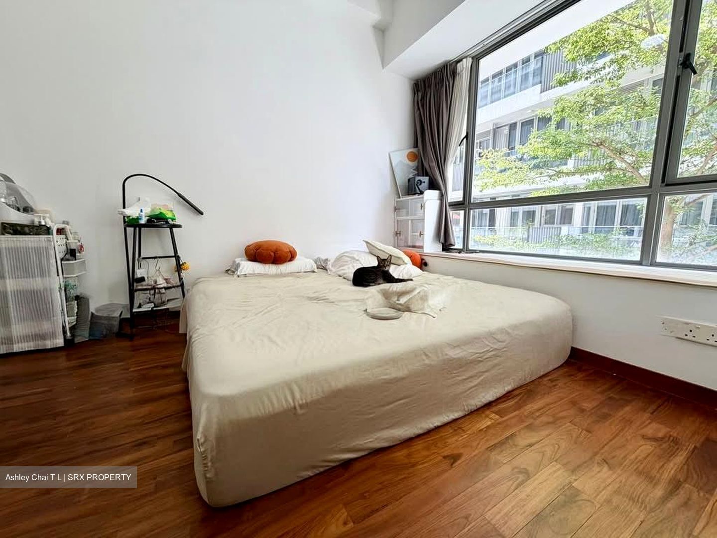 Robertson Edge (D9), Apartment #581367831